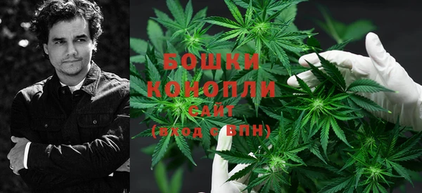 стафф Осташков