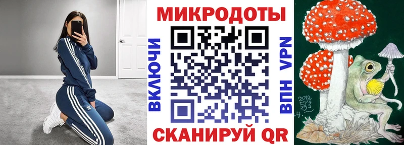 Псилоцибиновые грибы Psilocybe  Купить  Карабаново 